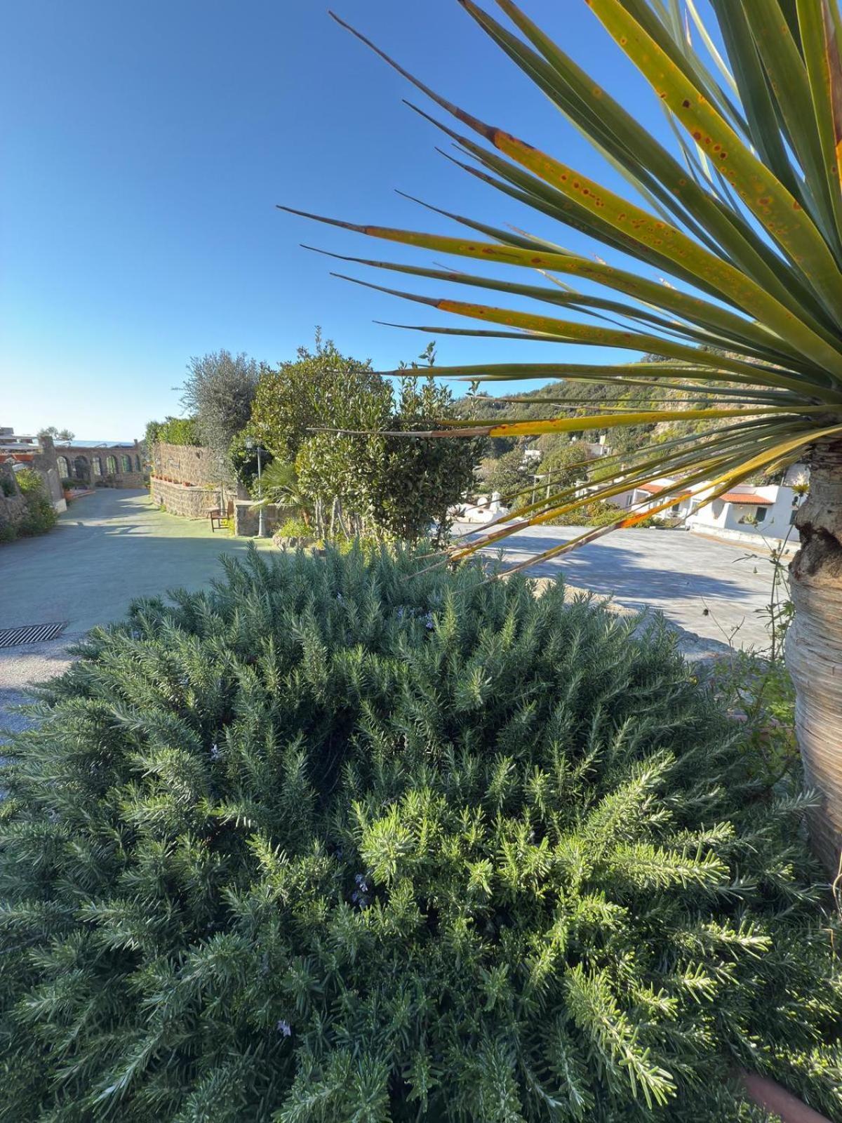 Hotel Parco Dei Principi & 4*